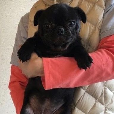 名無しちゃん