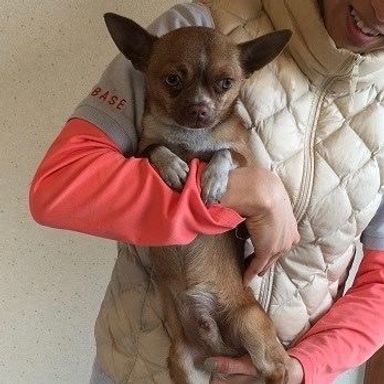 名無しちゃん