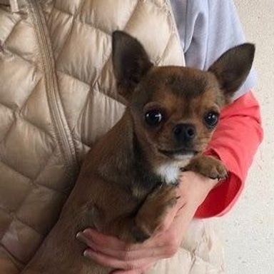 名無しちゃん