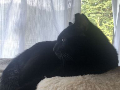 黒丸の写真