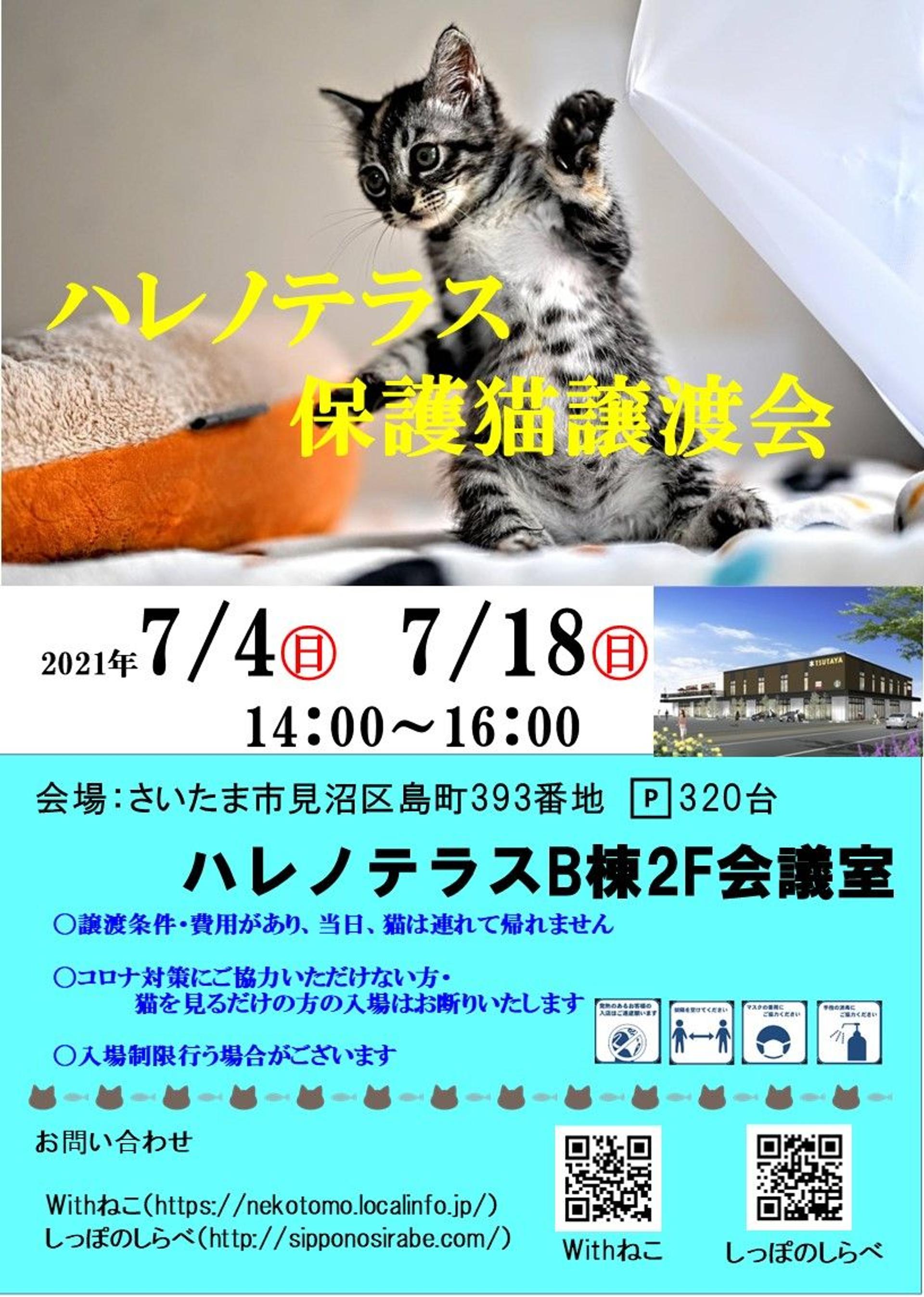 pet-image-6