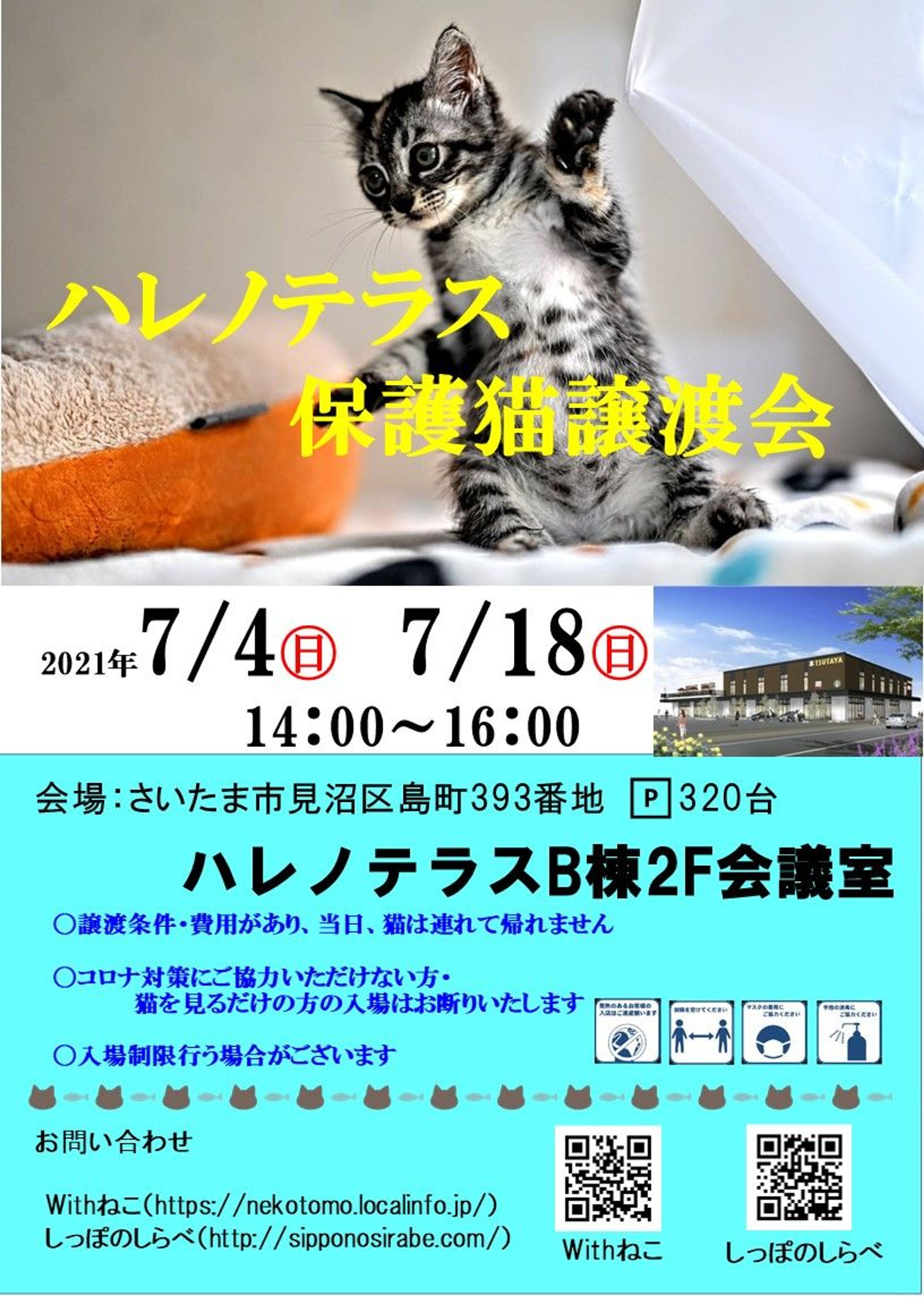 pet-image-4