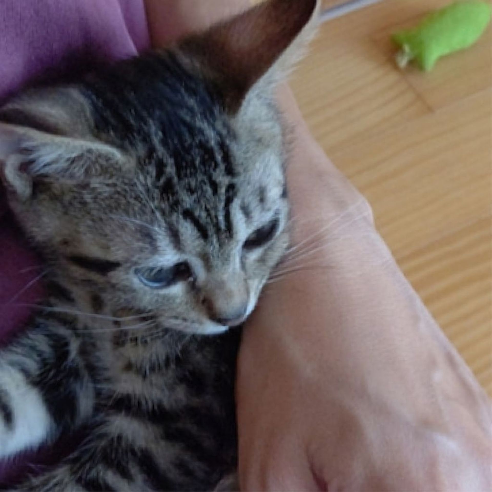thumbnail-8