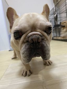 thumb-1