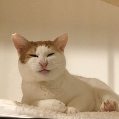 名無しちゃんの写真