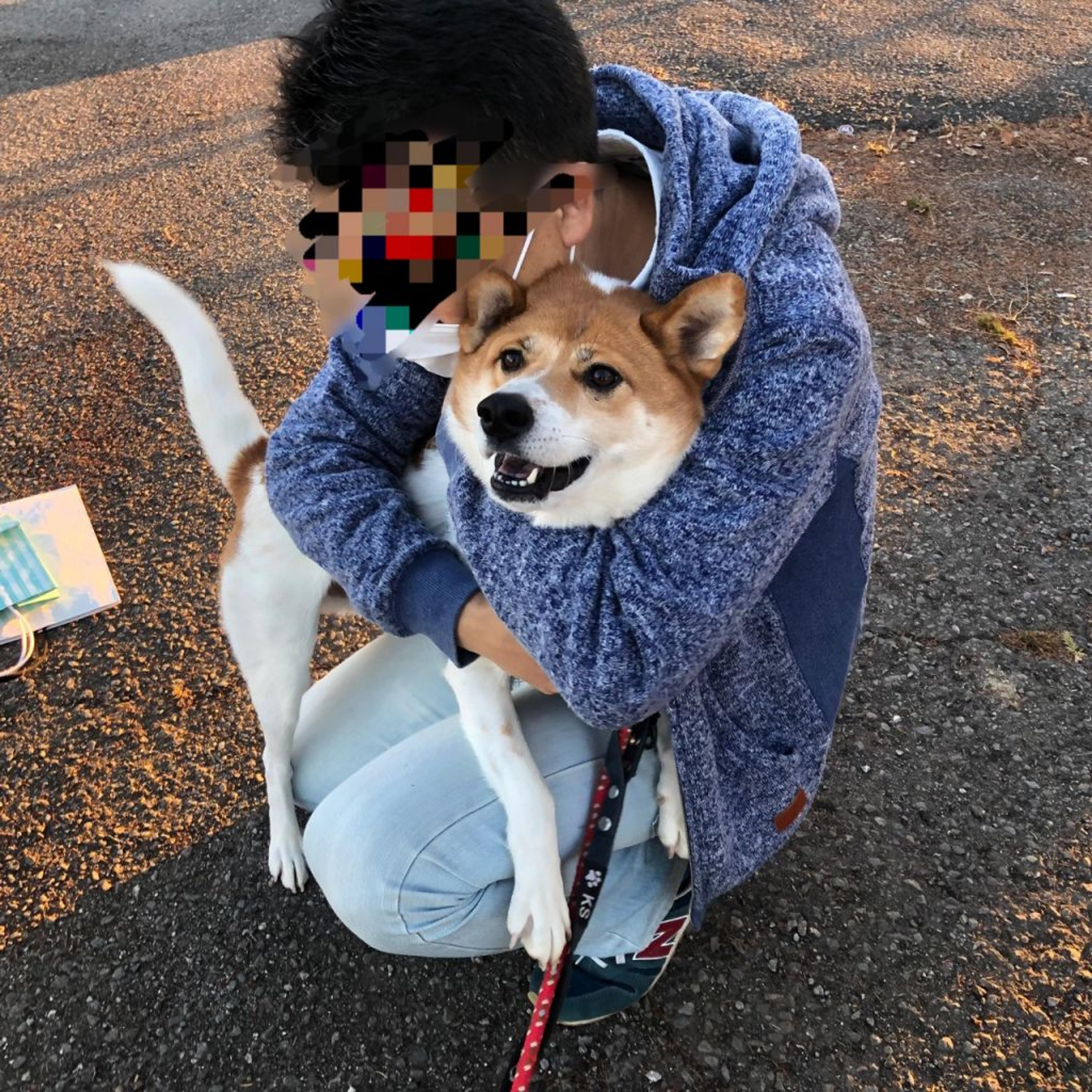 pet-image-4