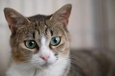 マムの写真