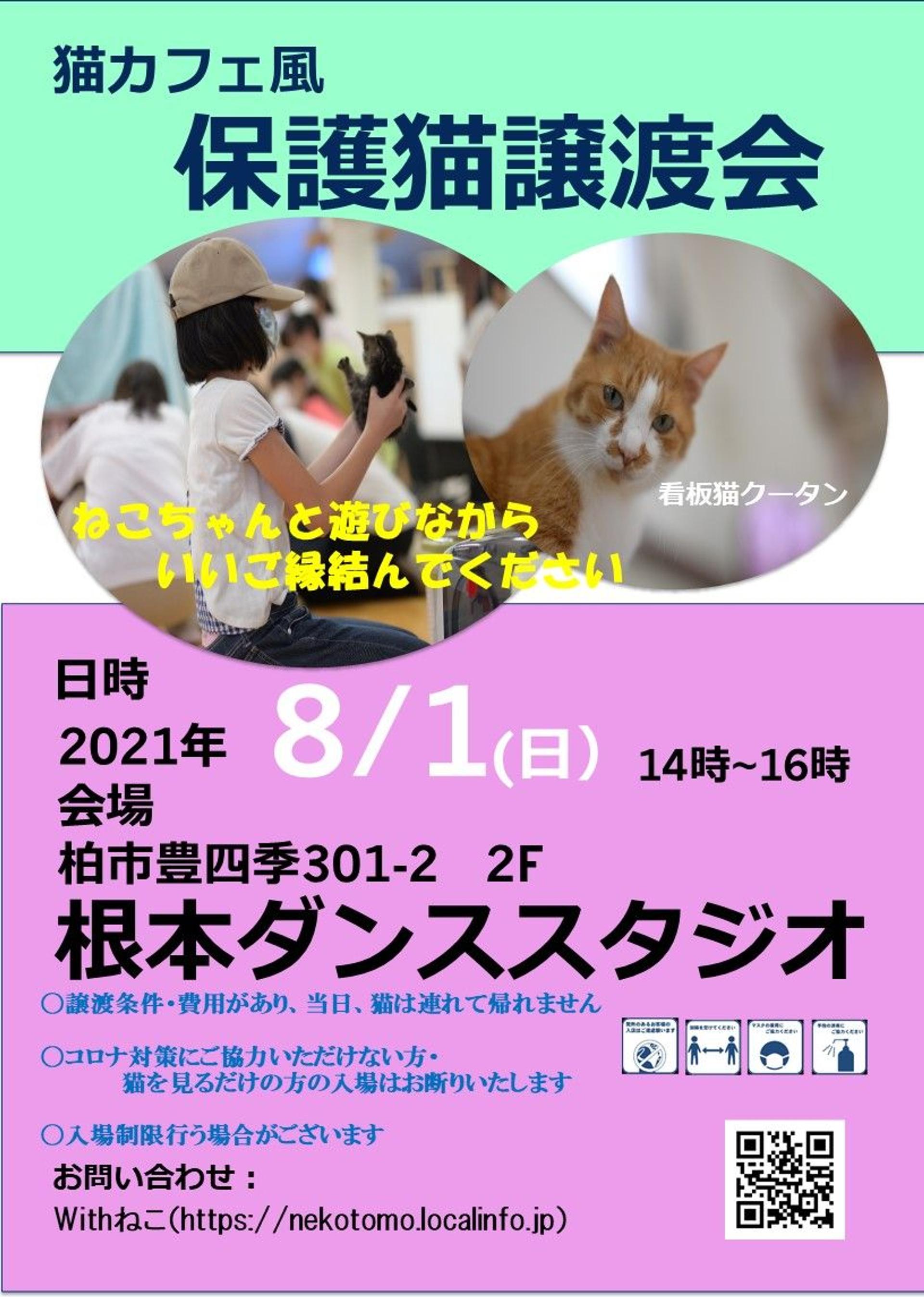 pet-image-4
