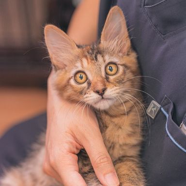 さちの写真