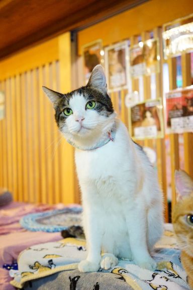 どんちゃんの写真