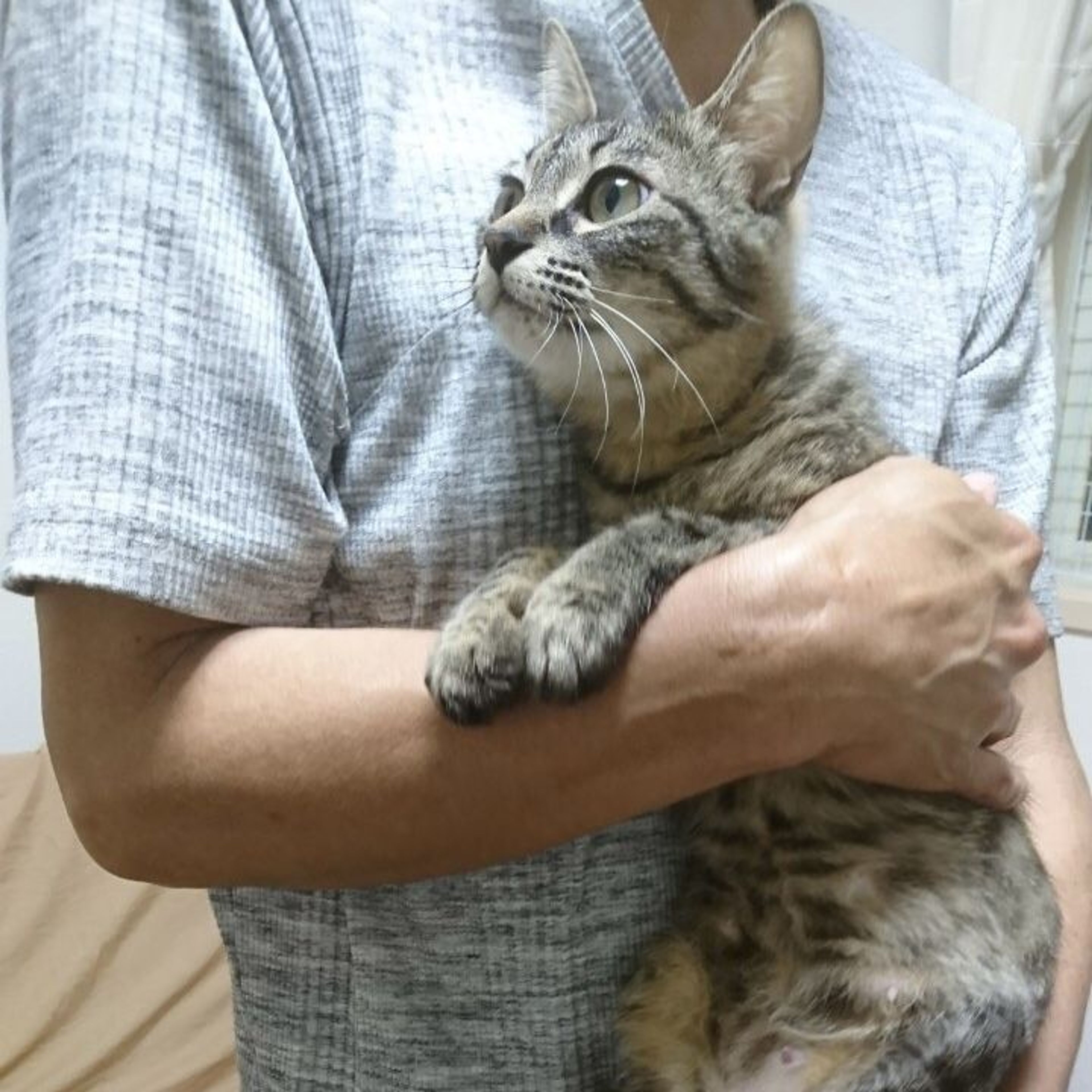 pet-image-8