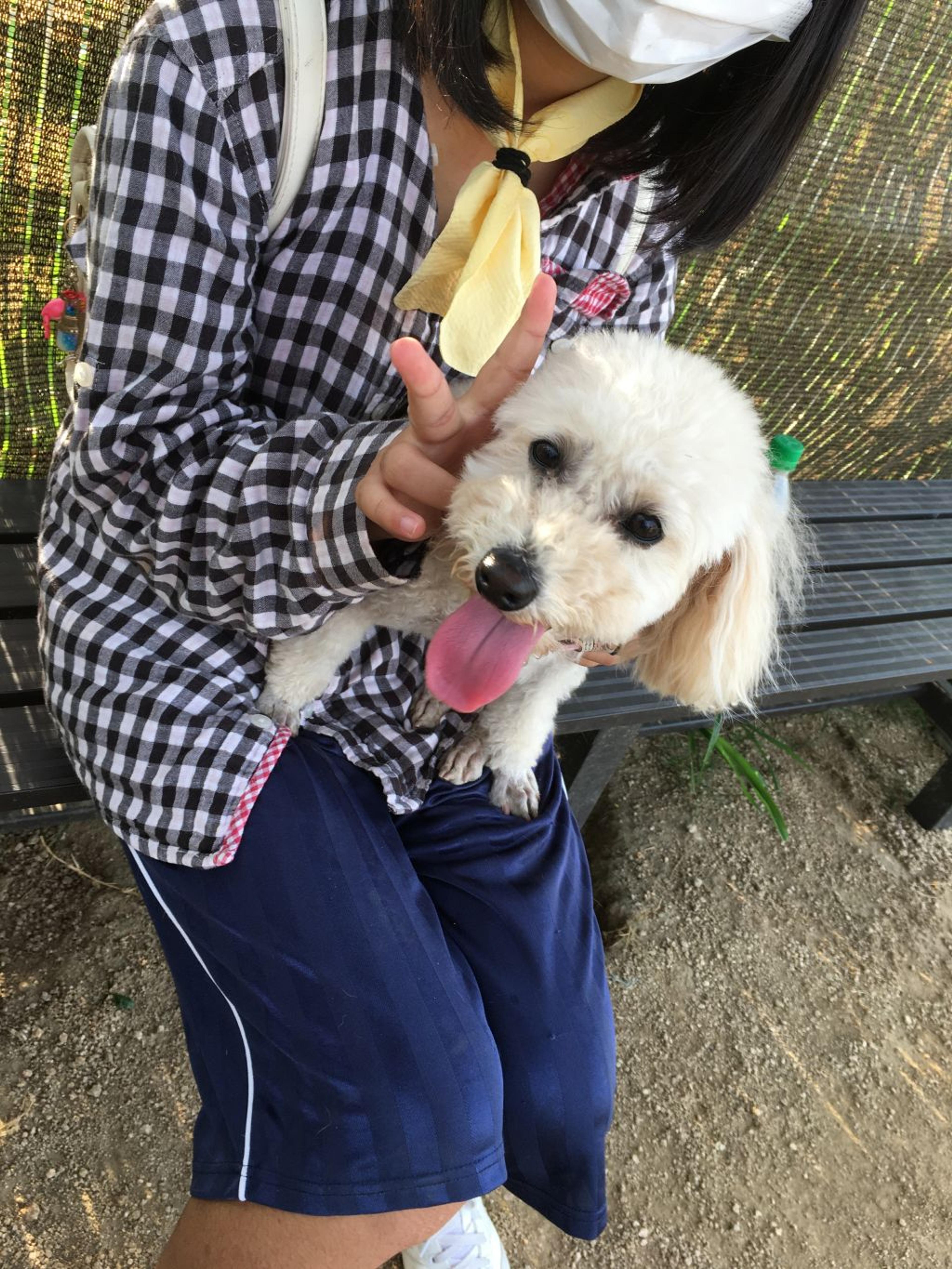 pet-image-6