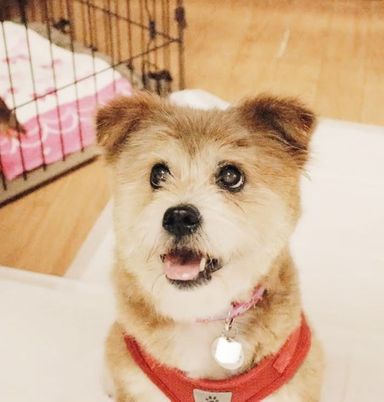 イーコの写真