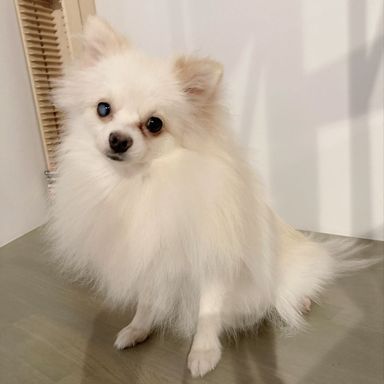 サニー