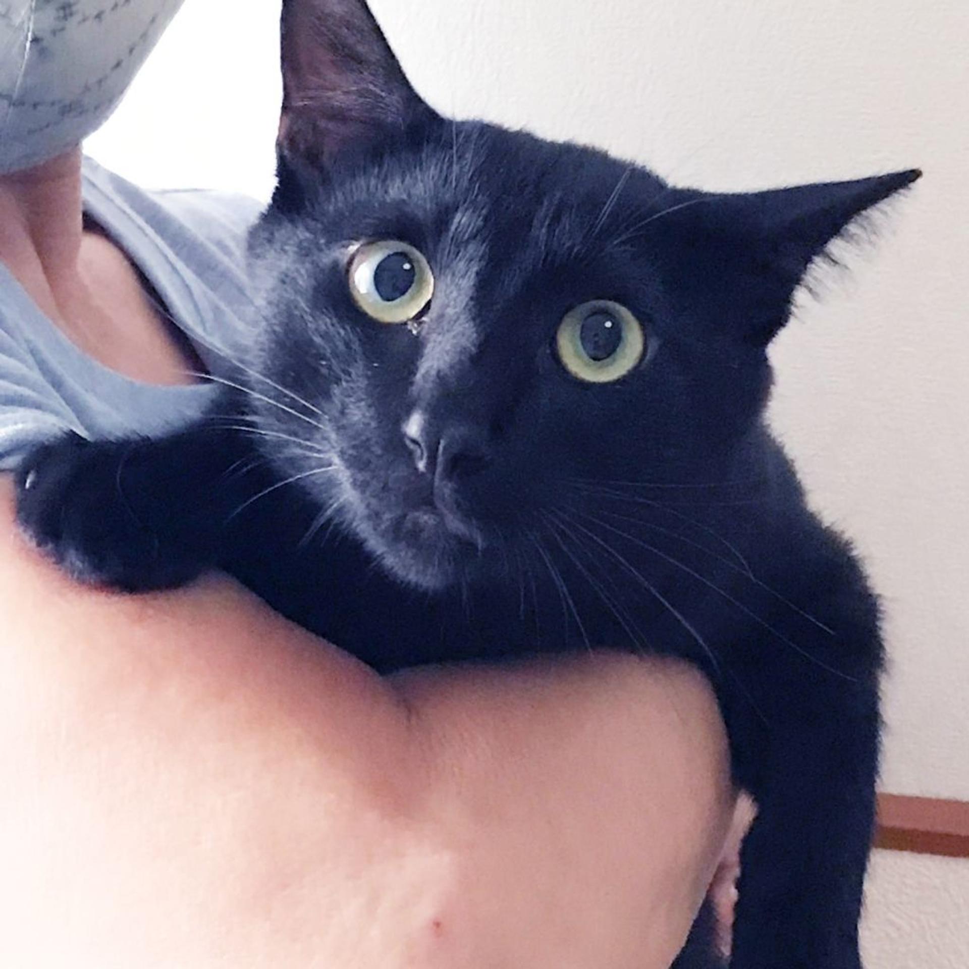 pet-image-9