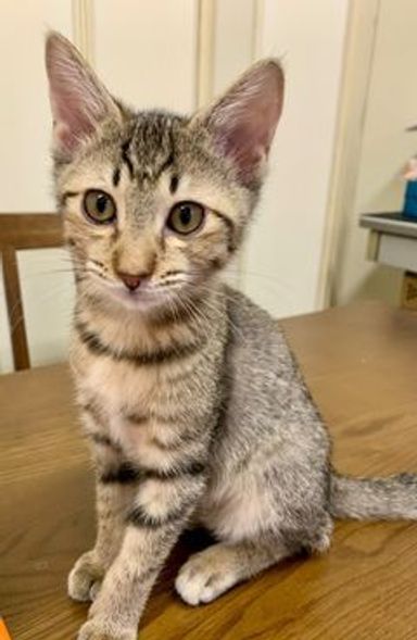 ララちゃんの写真
