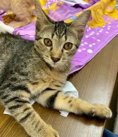 キキちゃんの写真