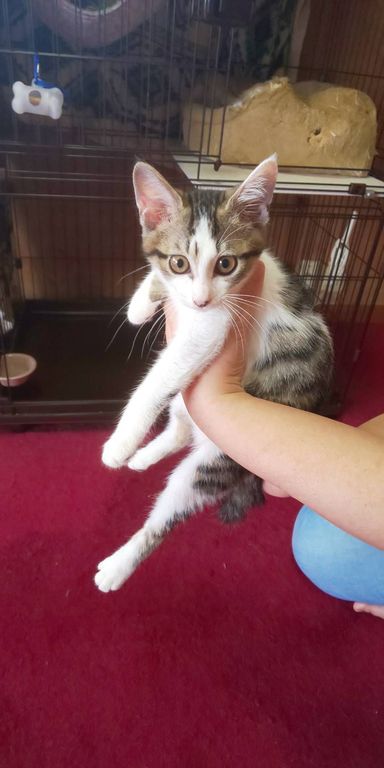 ランランちゃんの写真