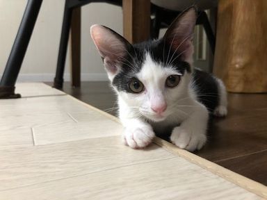 こいちゃんの写真