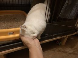 thumb-2