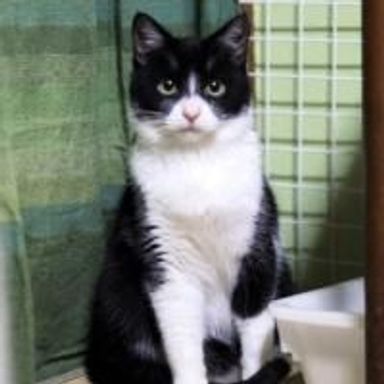 名無しちゃんの写真