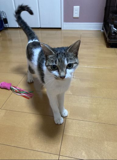 ゆずの写真