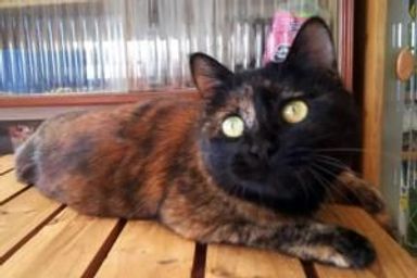 名無しちゃんの写真