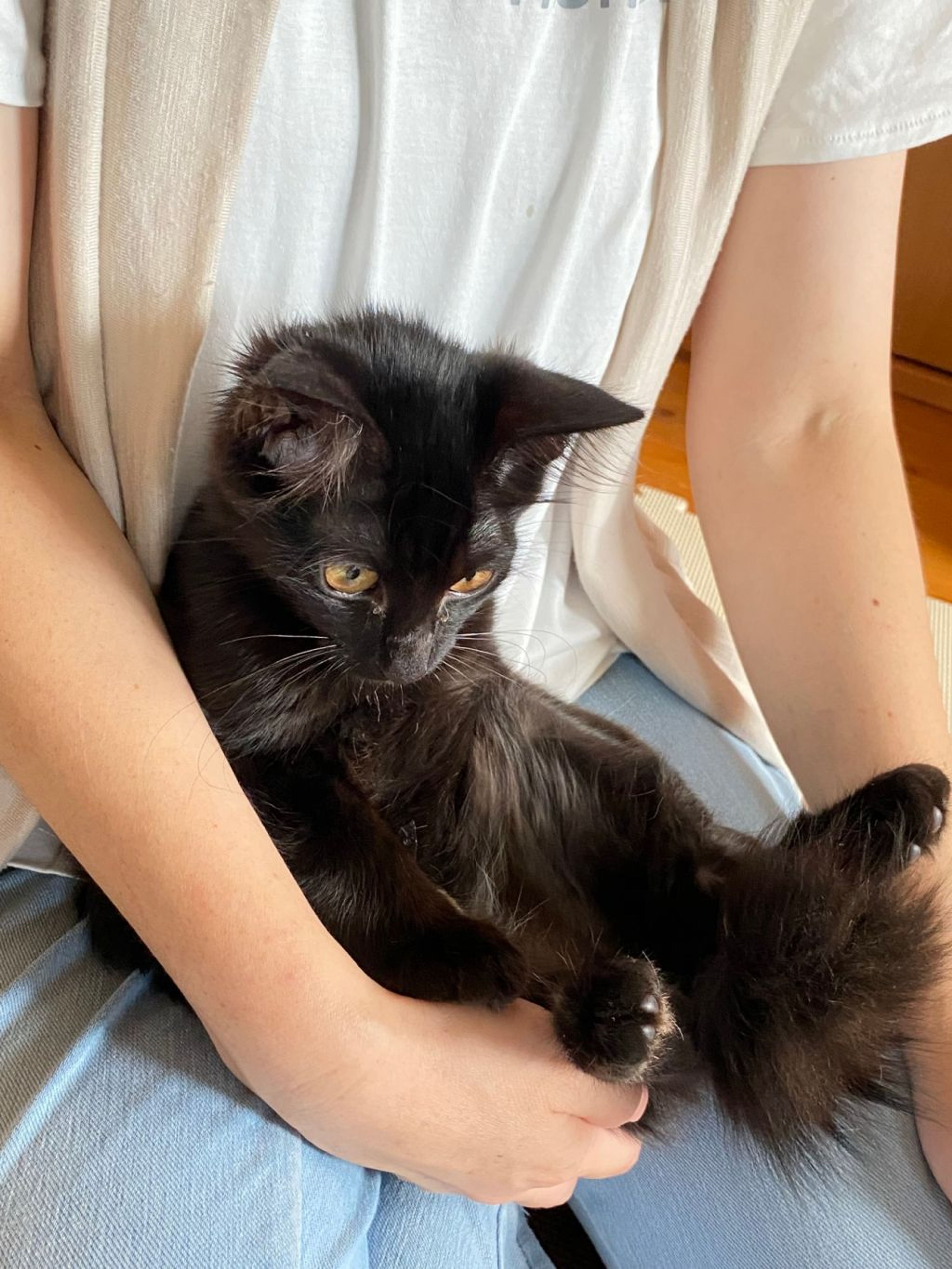 pet-image-6