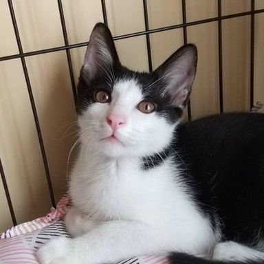仁くんの写真