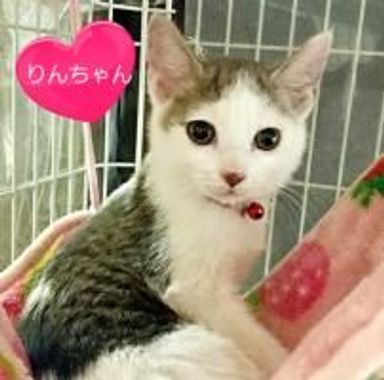 名無しちゃんの写真