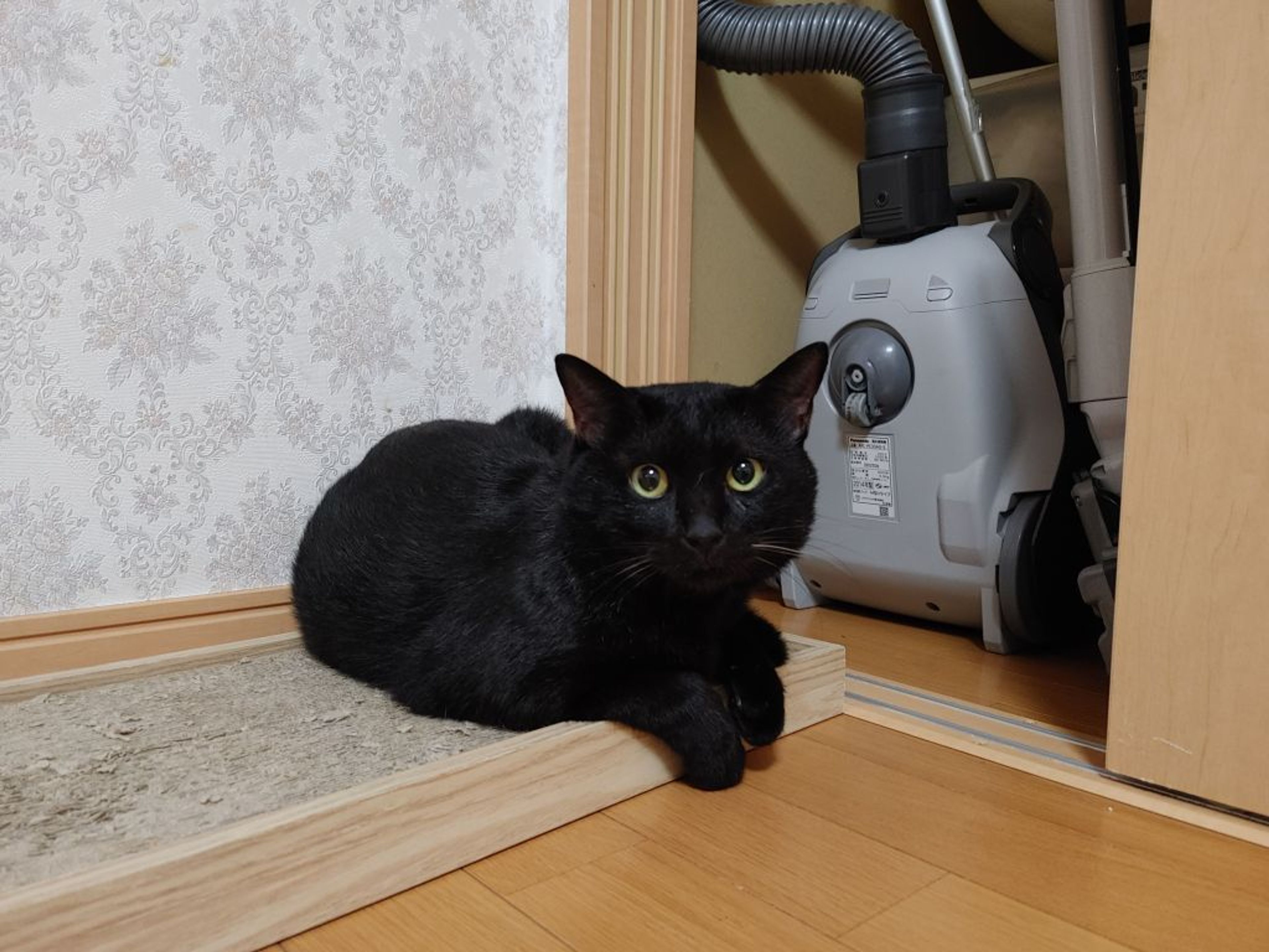 pet-image-4
