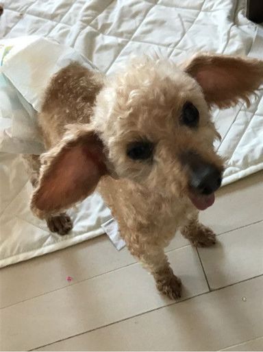 名無しちゃん