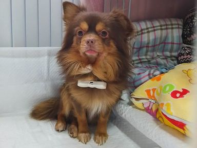 名無しちゃん