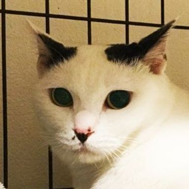 キキの写真