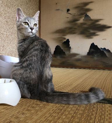 彗ちゃんの写真