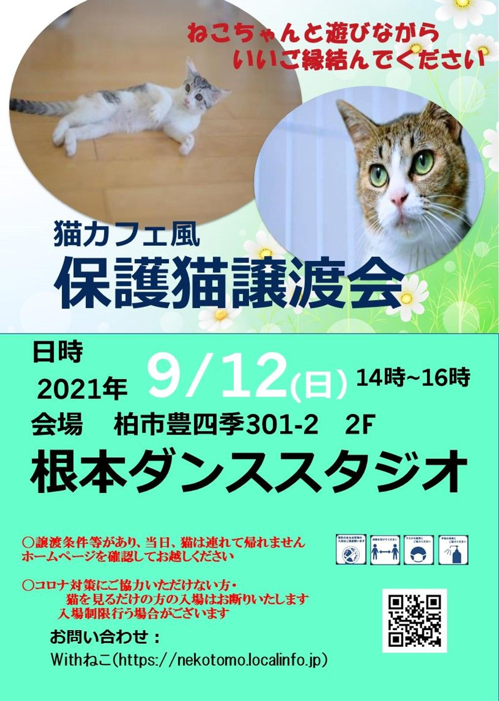 pet-image-5