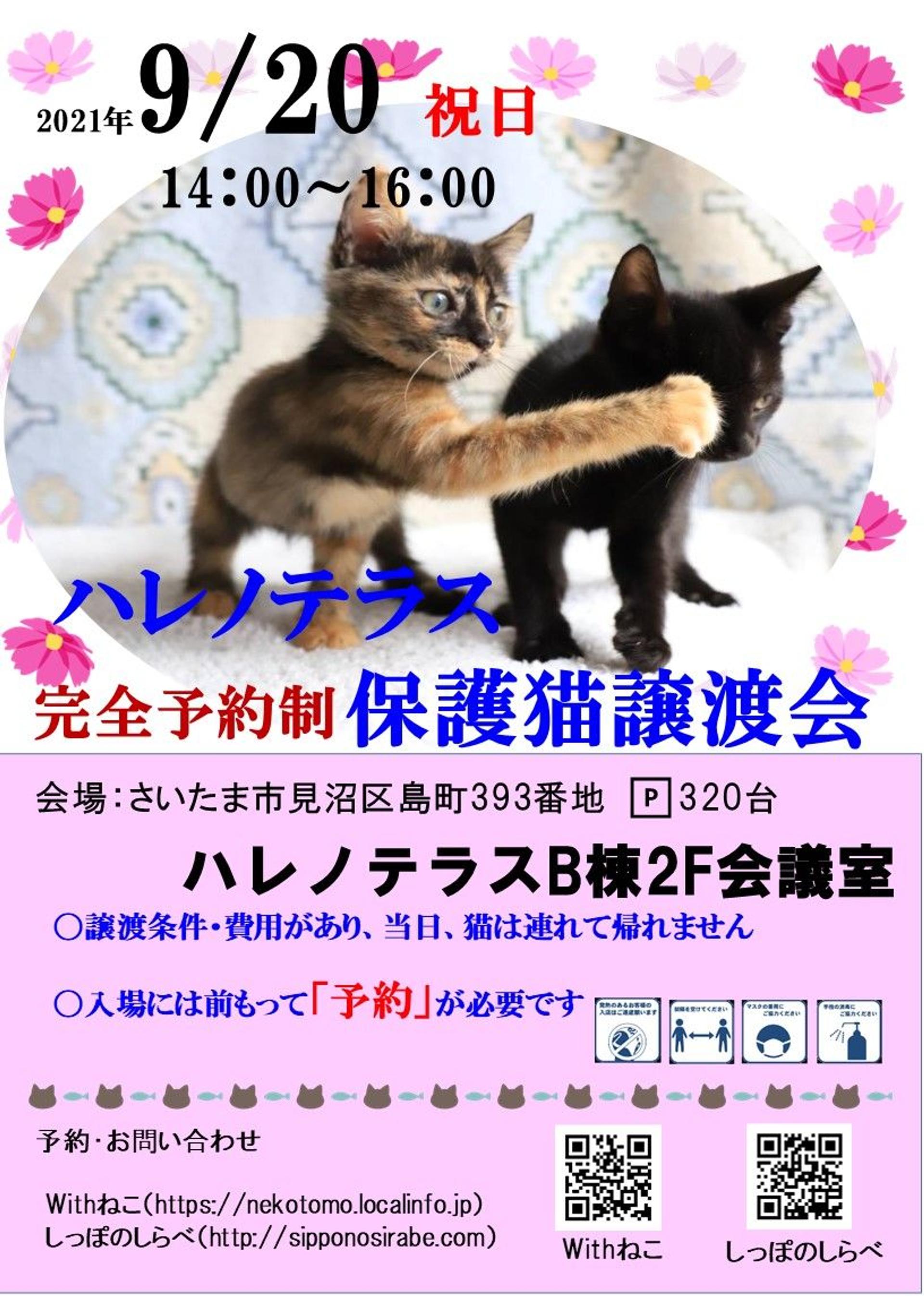 pet-image-6