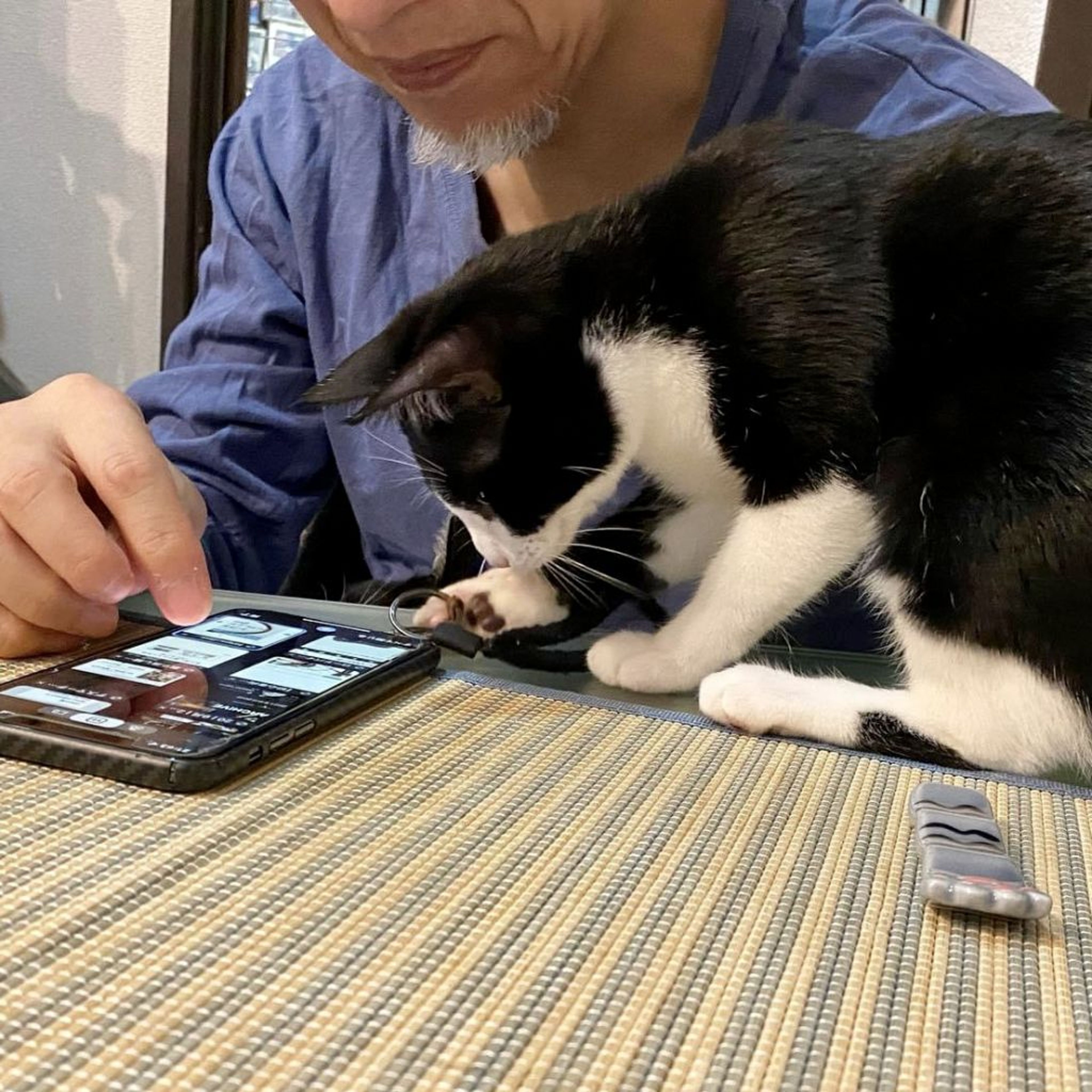 pet-image-3