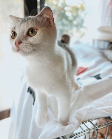 ブランコの写真