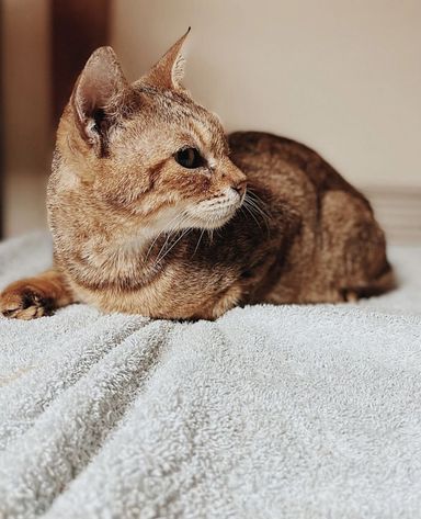 サッポロの写真