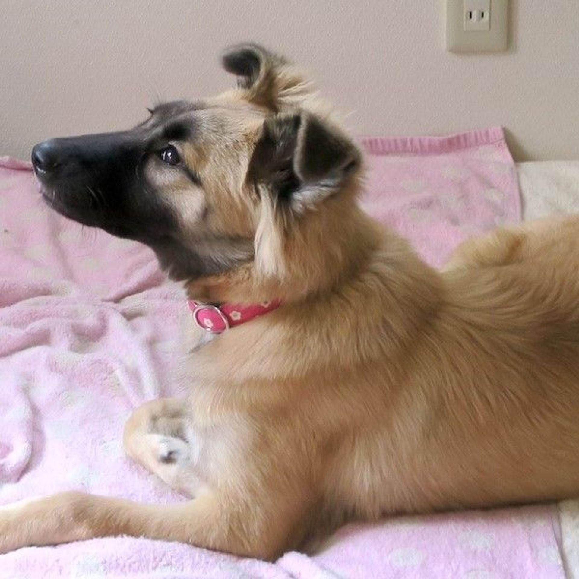 thumbnail-4