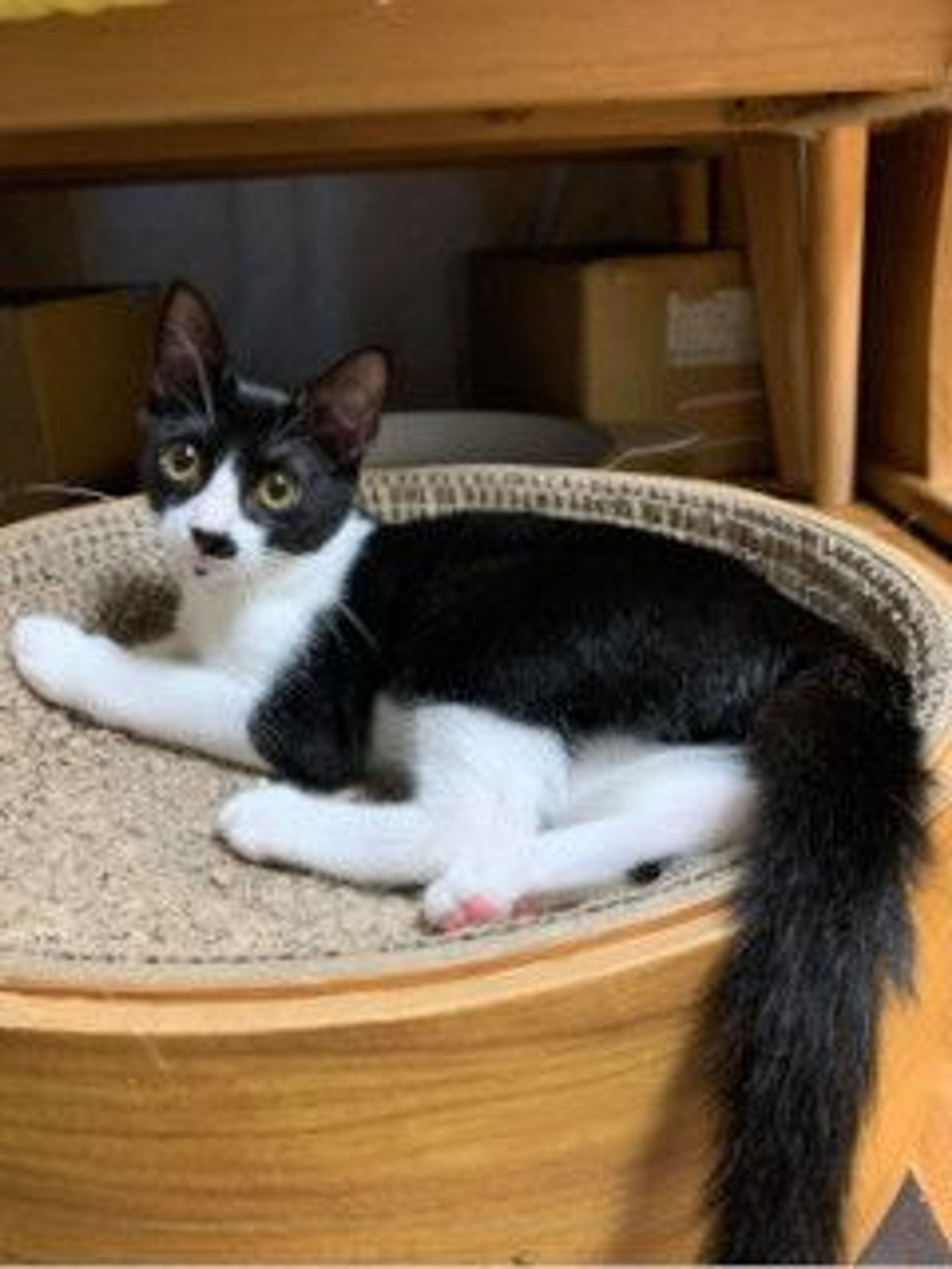 thumbnail-5