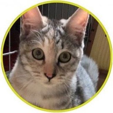 名無しちゃんの写真