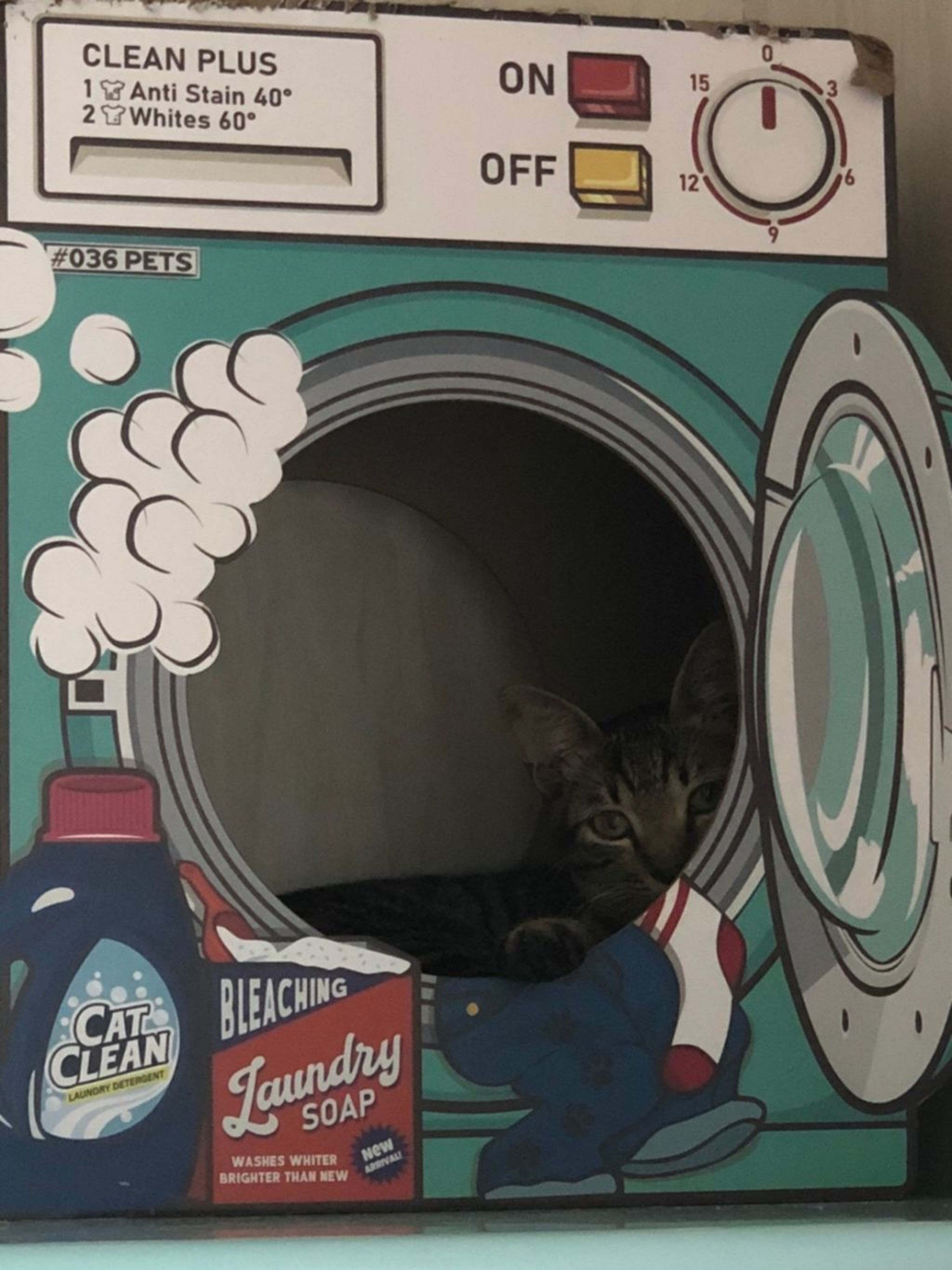 pet-image-3