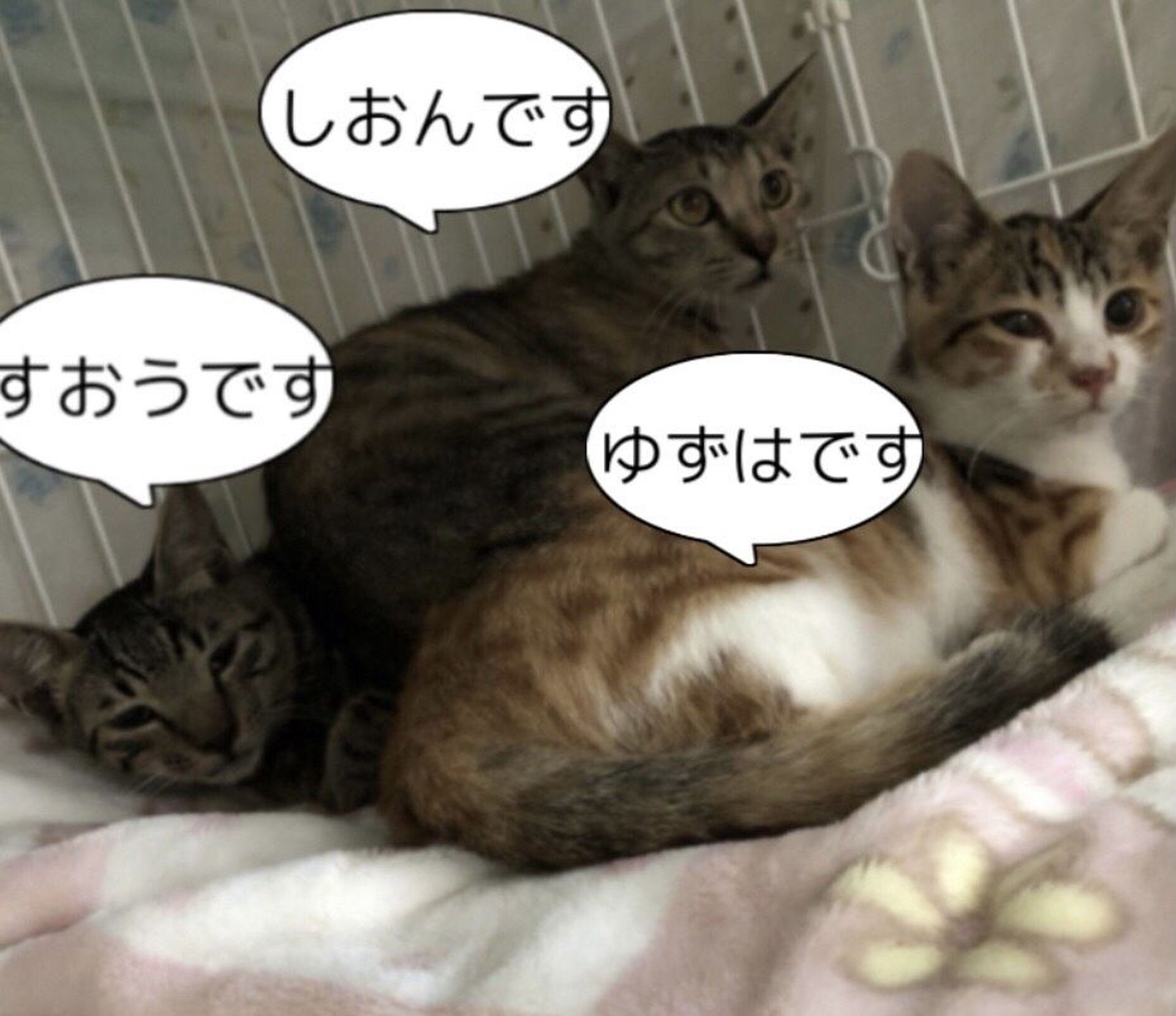 thumbnail-7
