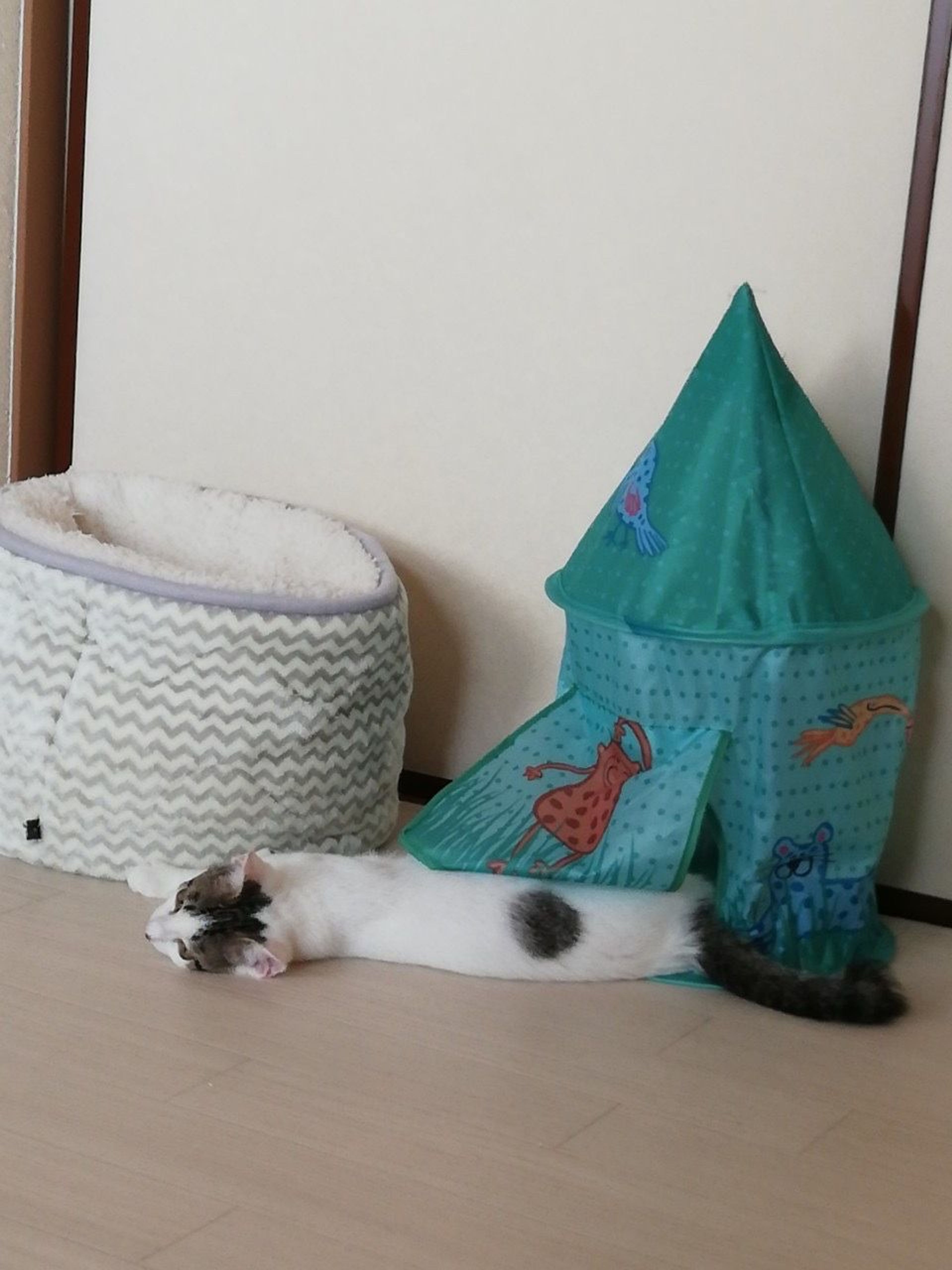 pet-image-4