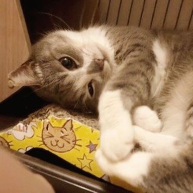 名無しちゃんの写真