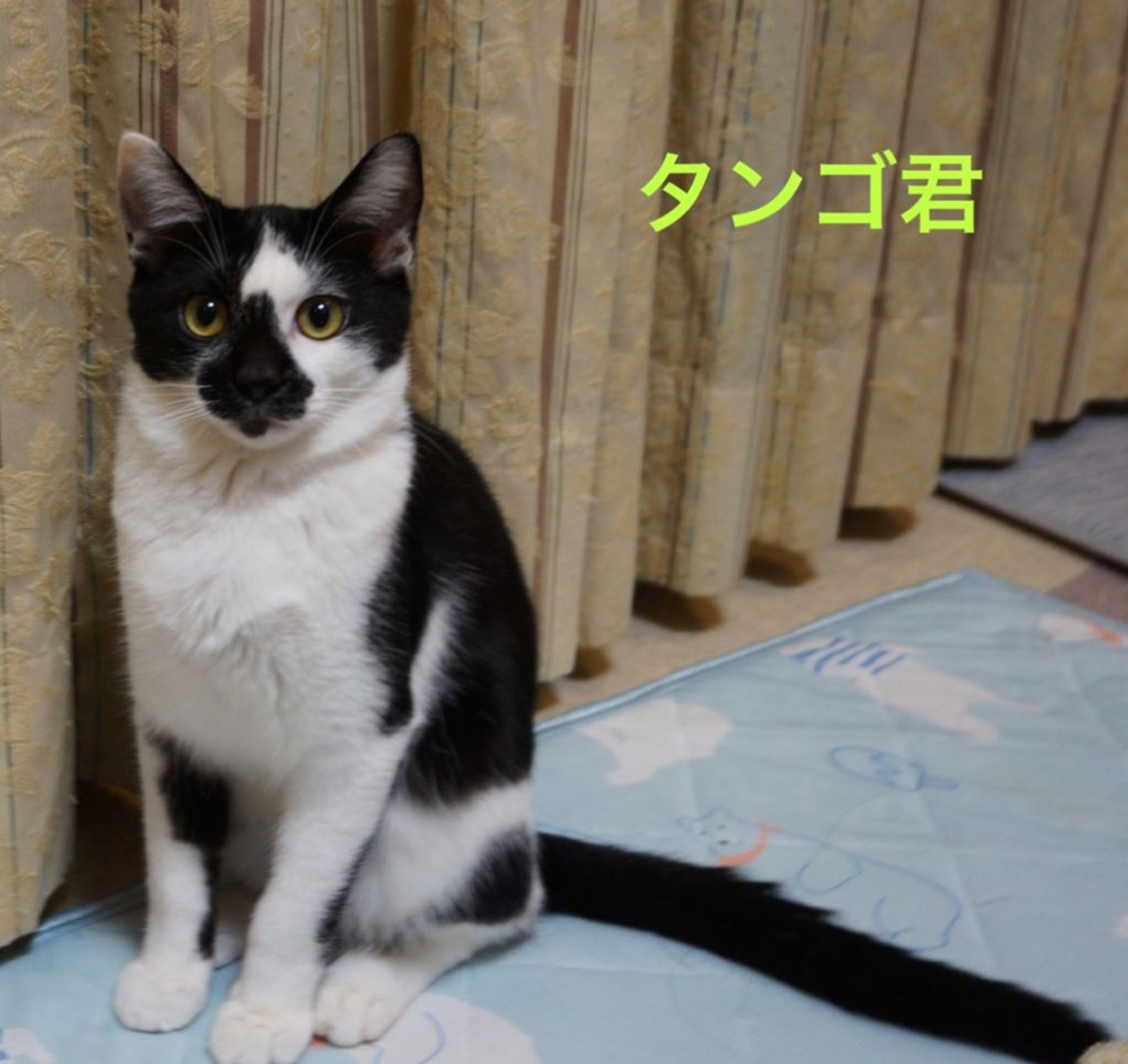 thumbnail-3