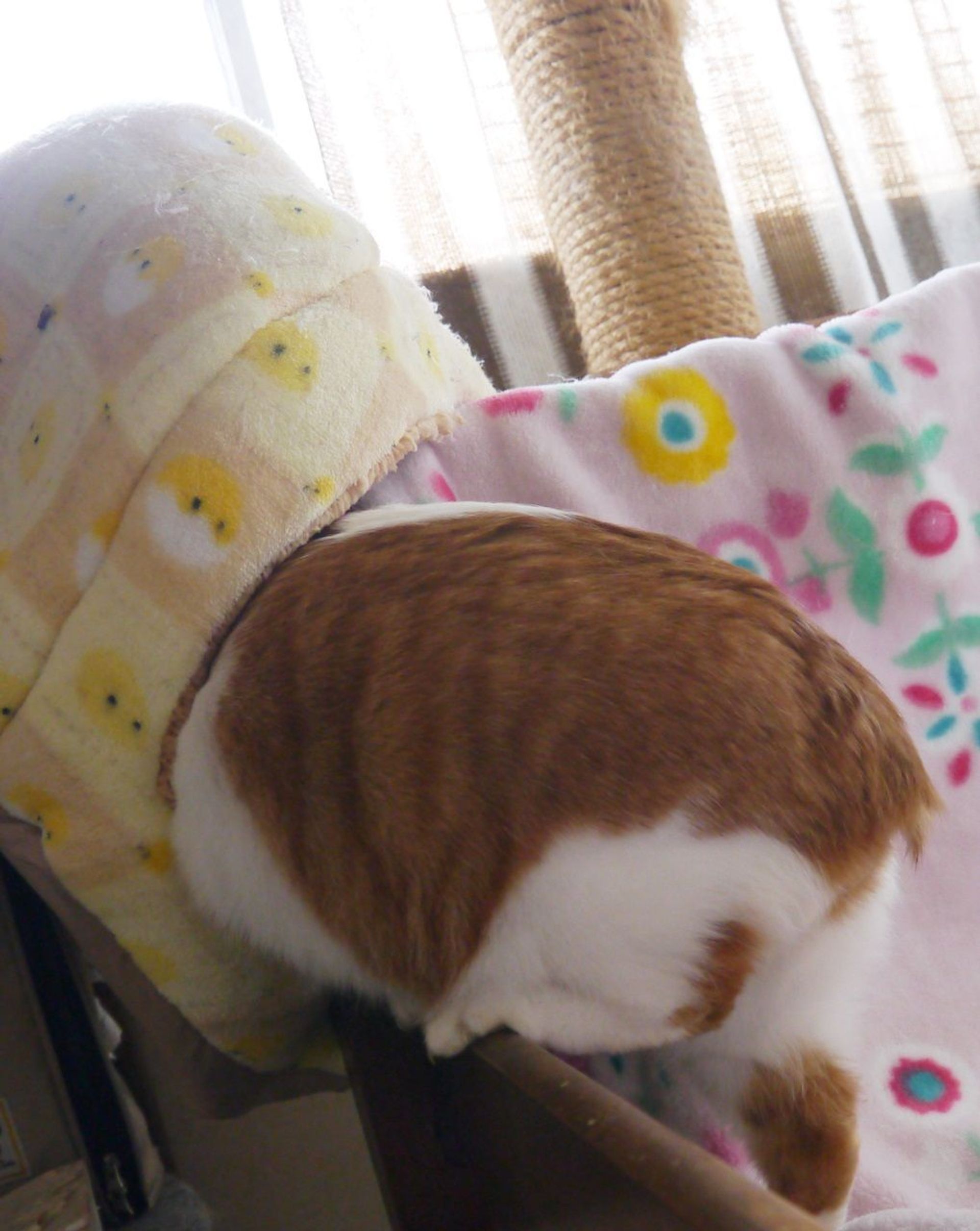 thumbnail-4
