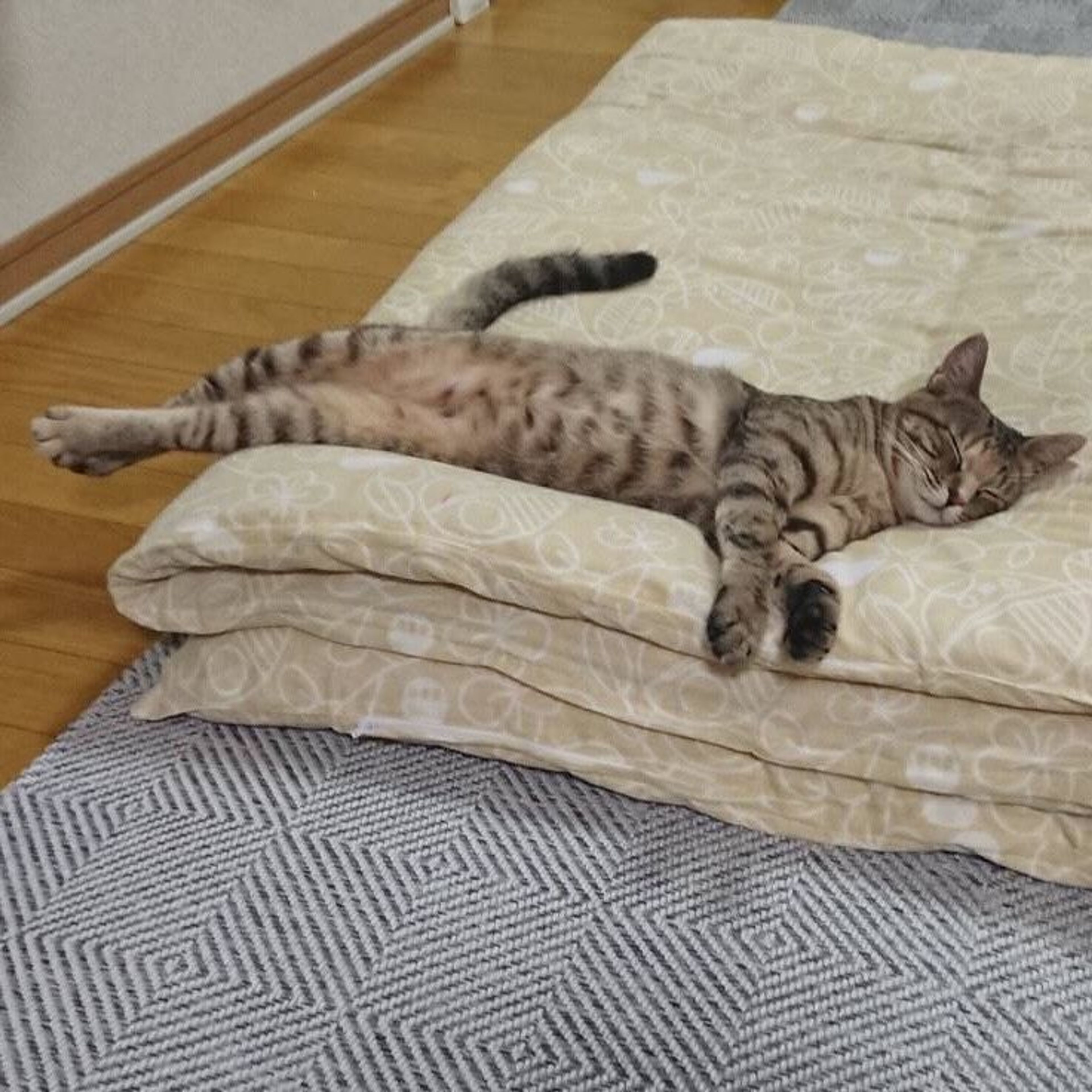 pet-image-4